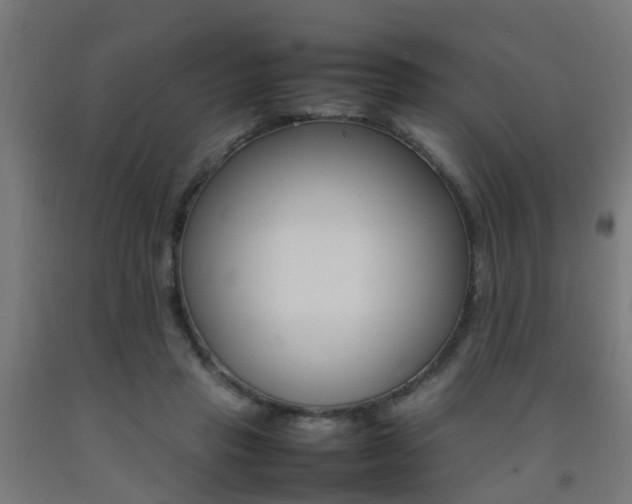 X0000093150453200709261449