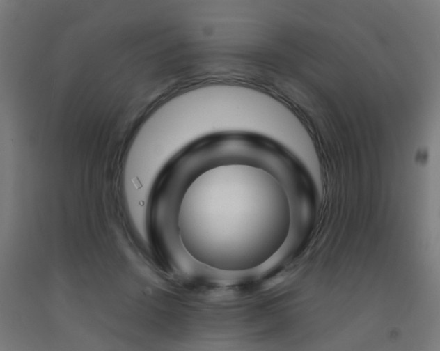 X0000093150456200709261449