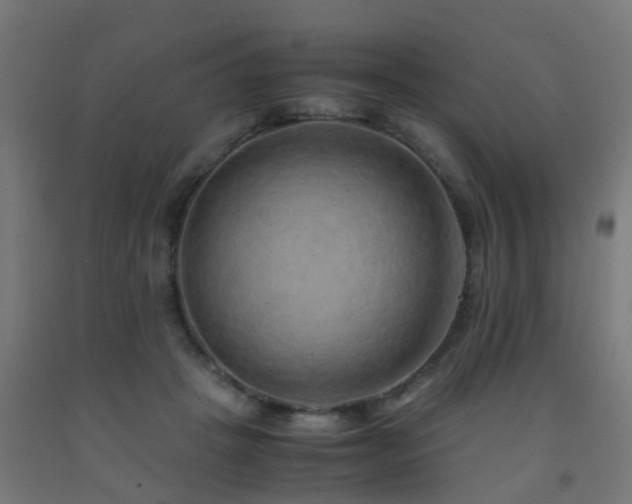 X0000093150457200709261449