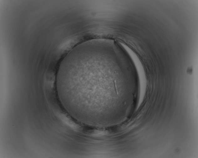 X0000093150458200709261449