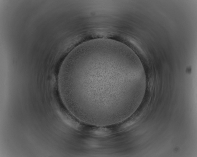 X0000093150459200709261449