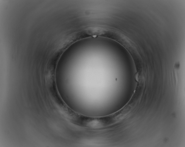 X0000093150460200709261449