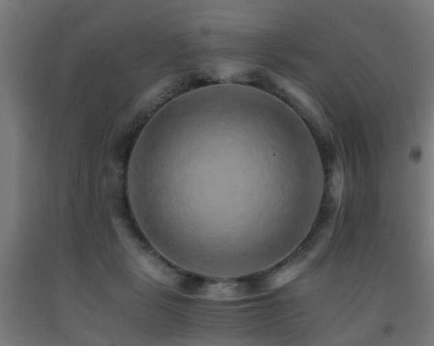 X0000093150461200709261449