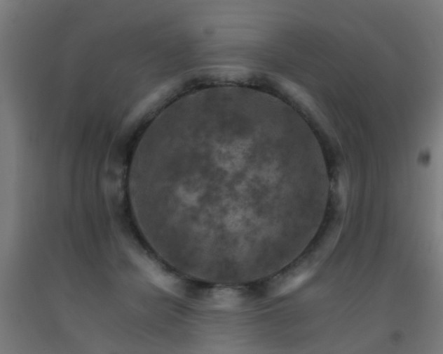 X0000093150462200709261449