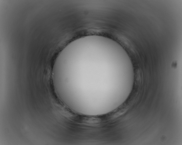 X0000093150463200709261449