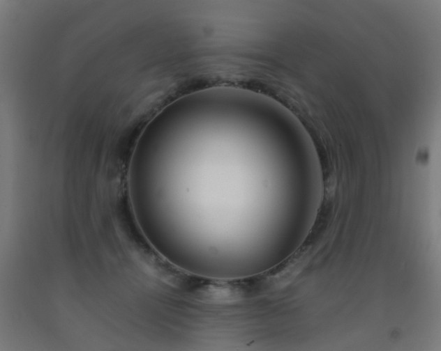 X0000093150464200709261449