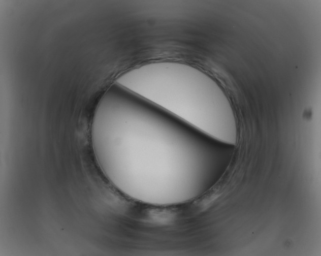 X0000093150465200709261449