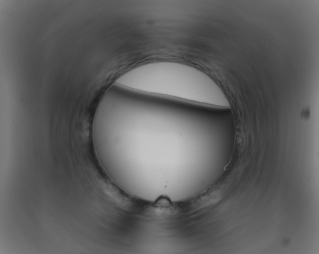 X0000093150466200709261449