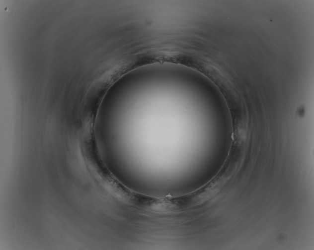 X0000093150468200709261449