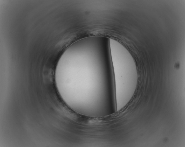X0000093150470200709261449