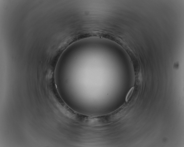 X0000093150472200709261449