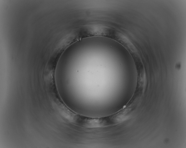 X0000093150473200709261449