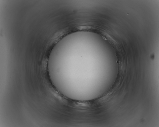 X0000093150475200709261449