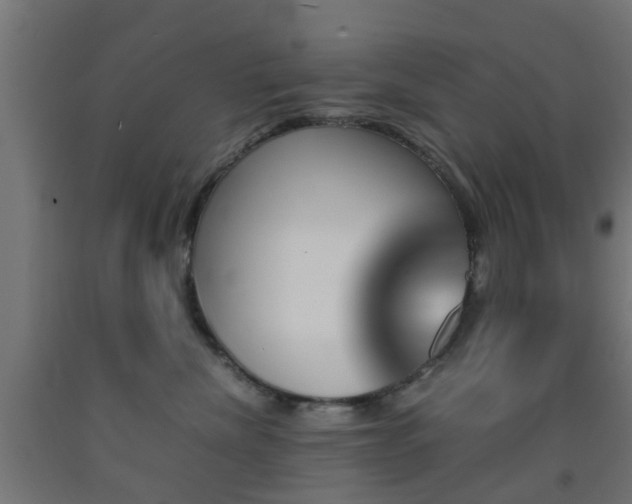 X0000093150476200709261449