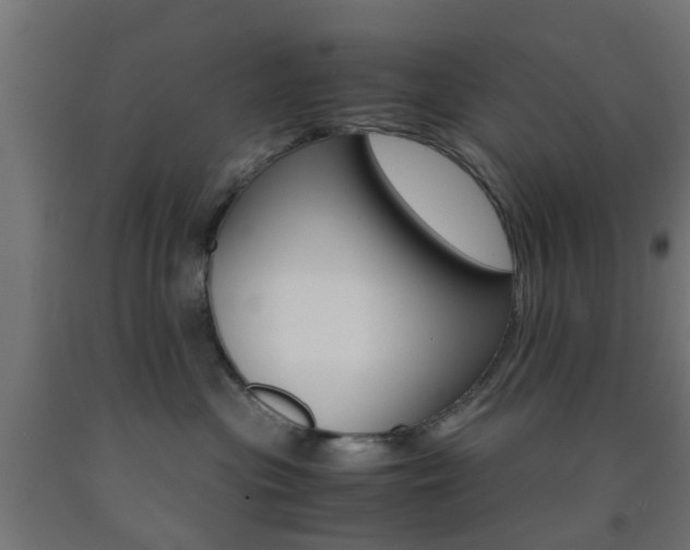 X0000093150477200709261449