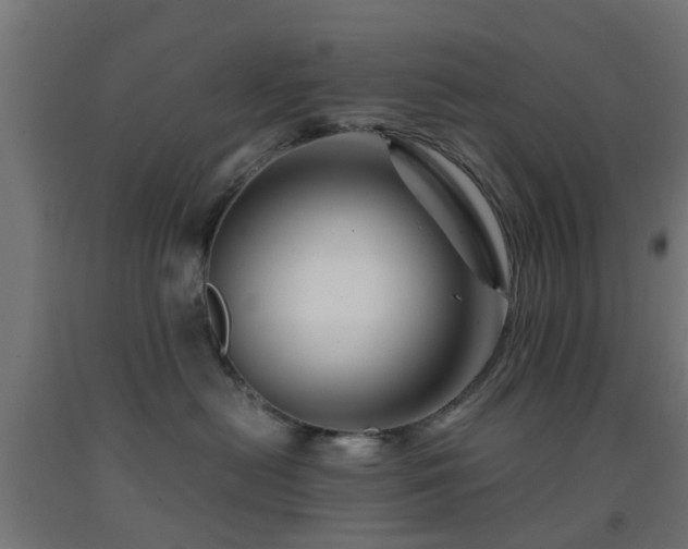 X0000093150478200709261449