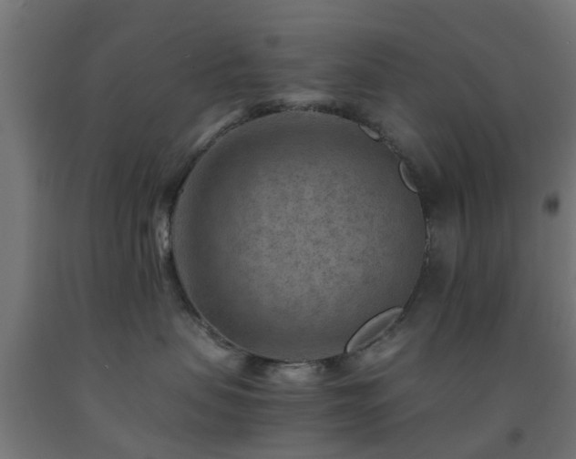 X0000093150479200709261449