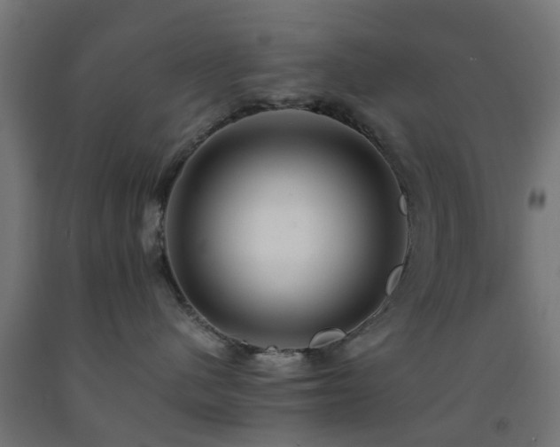 X0000093150480200709261449