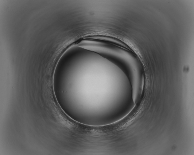 X0000093150481200709261449