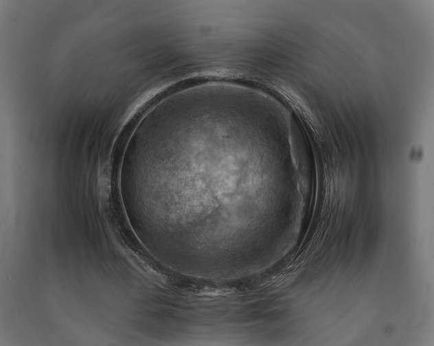 X0000093150484200709261449