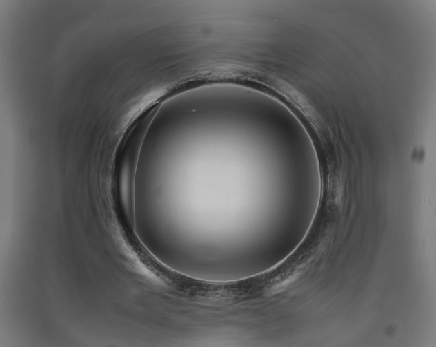 X0000093150485200709261448