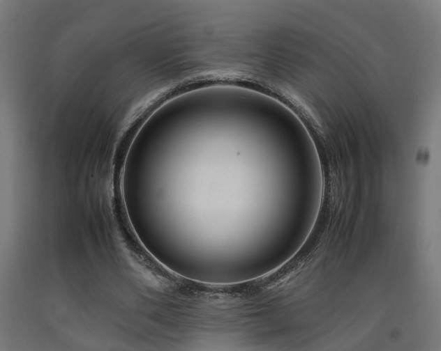 X0000093150486200709261448