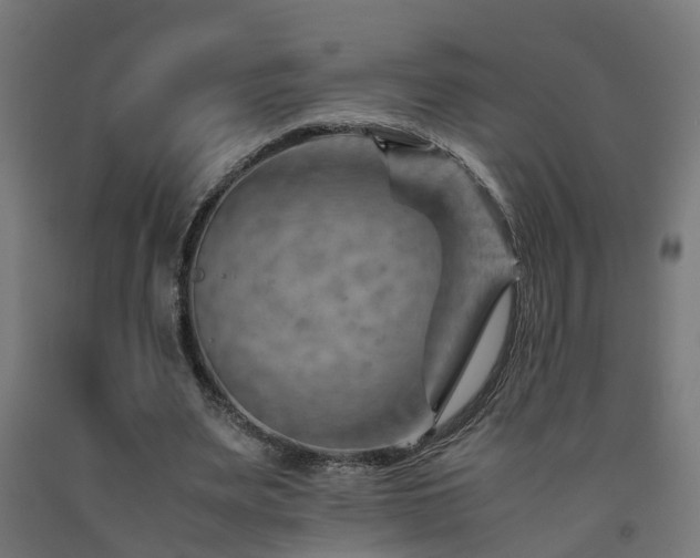 X0000093150487200709261448