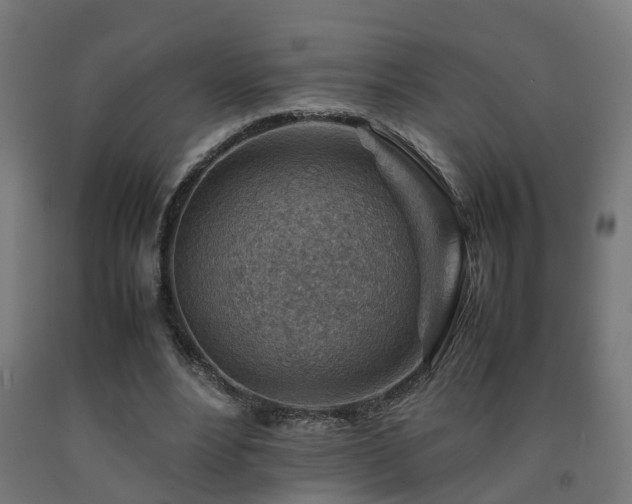 X0000093150488200709261448