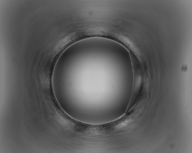 X0000093150489200709261448