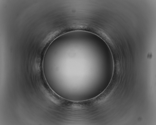 X0000093150490200709261448