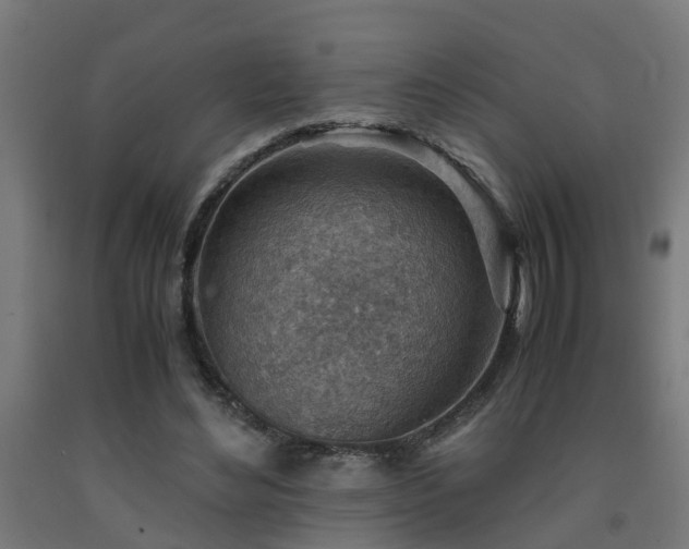 X0000093150492200709261448