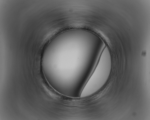 X0000093150493200709261448