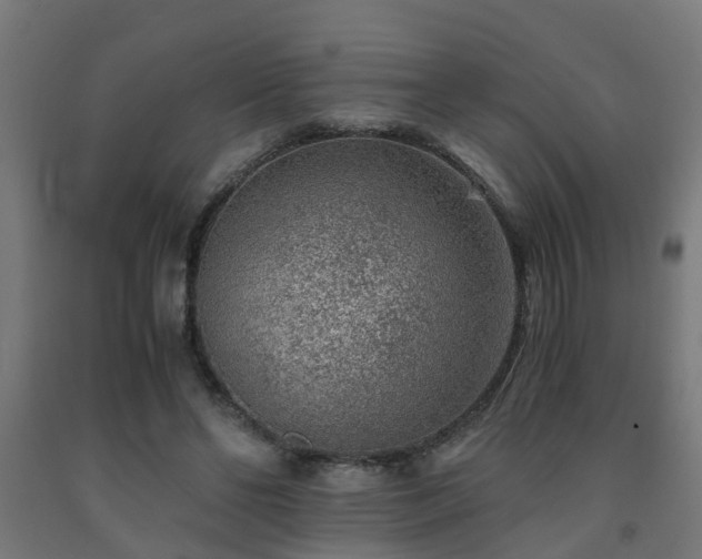X0000093150494200709261448