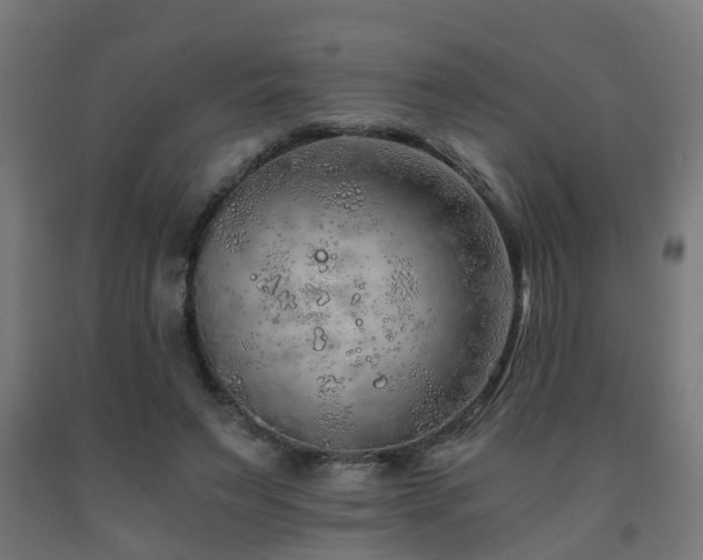 X0000093150495200709261448