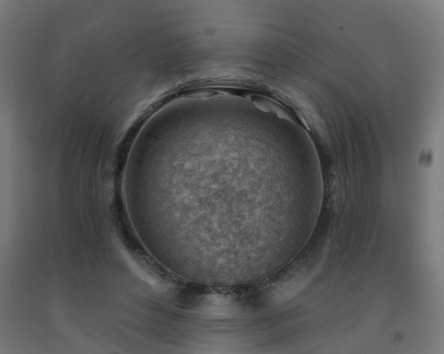 X0000093150496200709261448