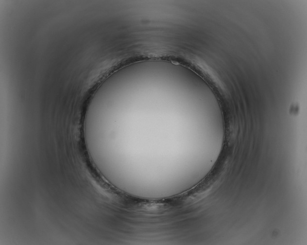 X0000093150497200709261448