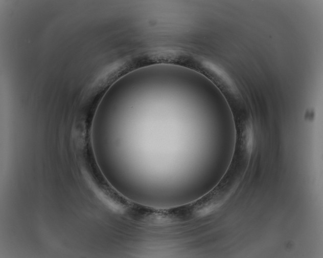 X0000093150498200709261448