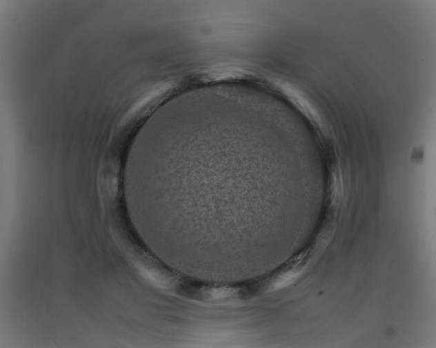X0000093150501200709261448