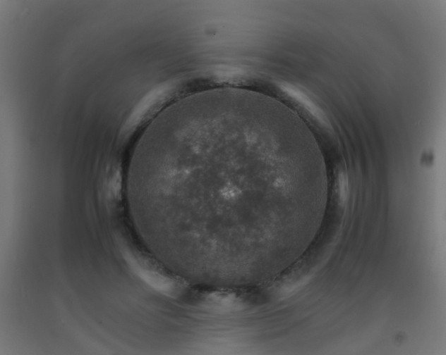 X0000093150502200709261448