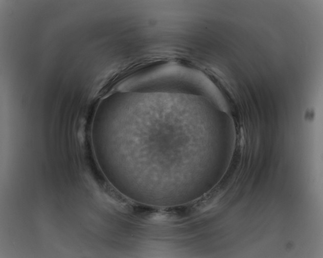 X0000093150504200709261448