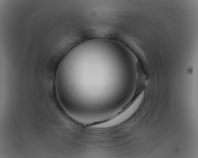 X0000093150505200709261448