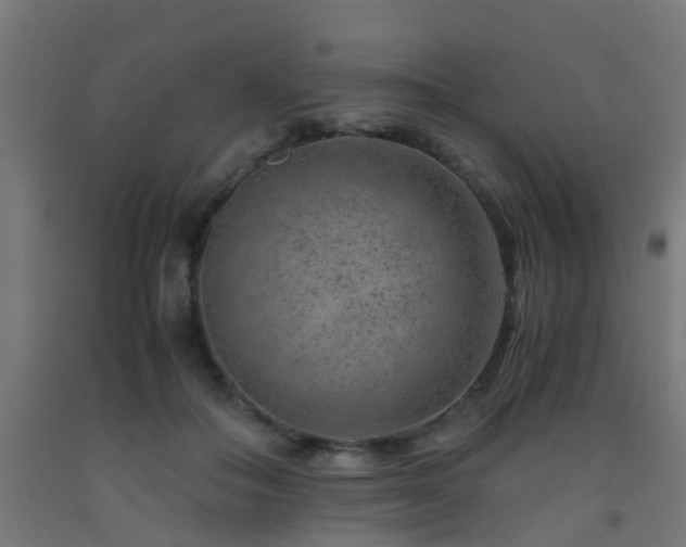 X0000093150506200709261448