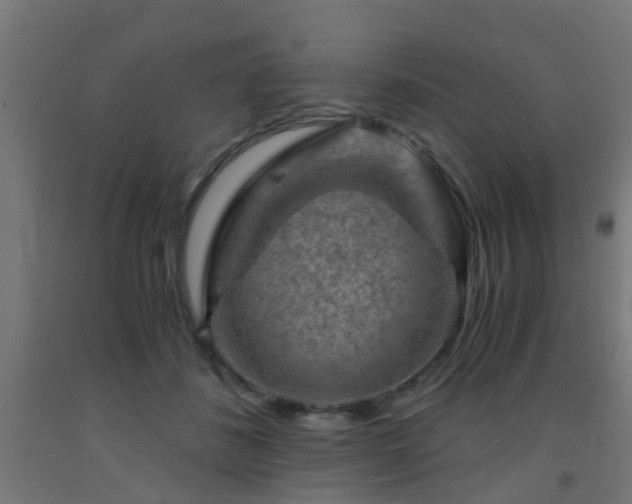 X0000093150508200709261448