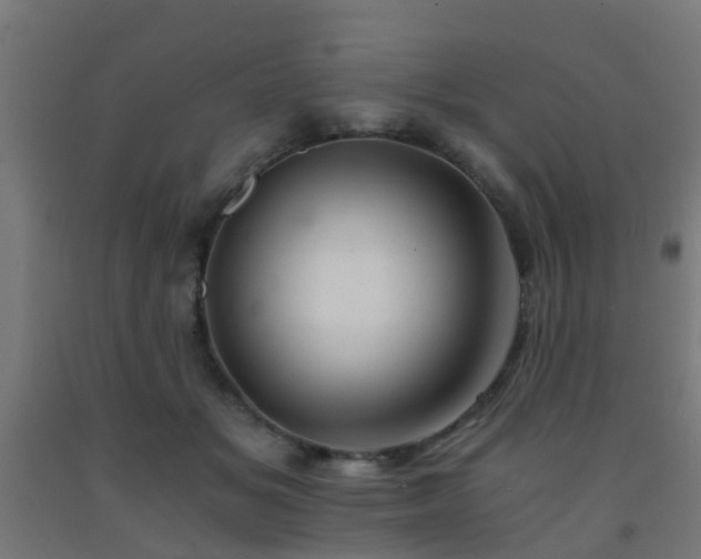 X0000093150509200709261448