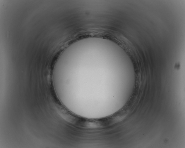 X0000093150510200709261448