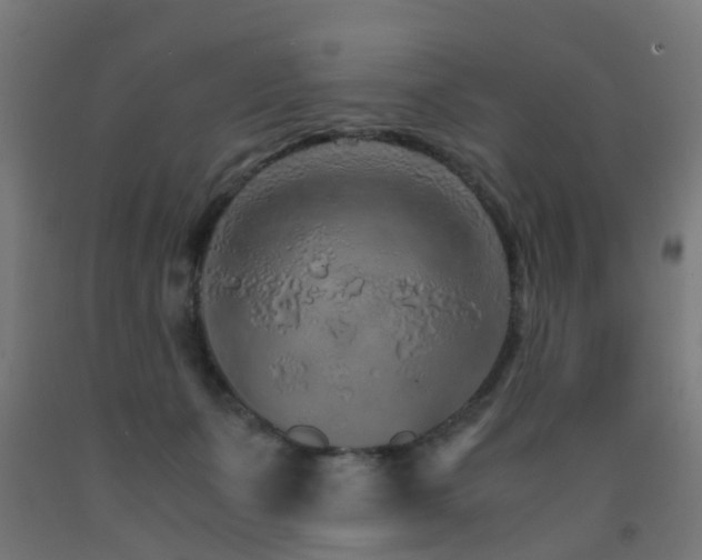 X0000093150511200709261448