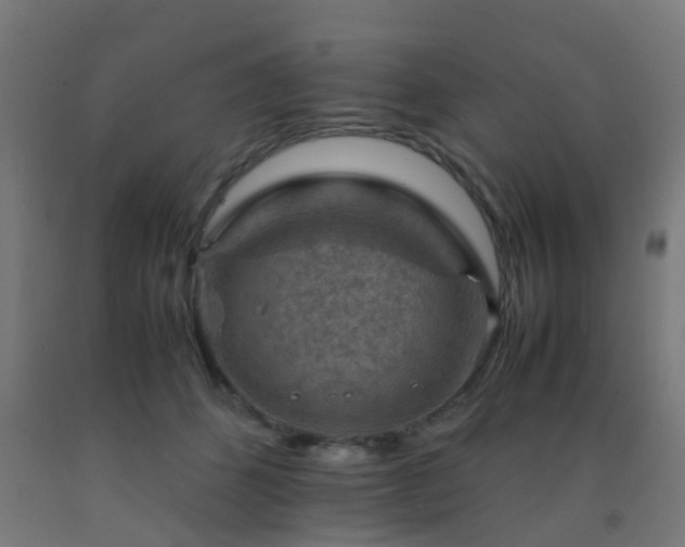 X0000093150512200709261448