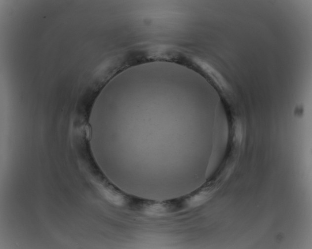 X0000093150513200709261448