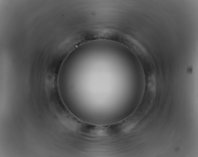X0000093150514200709261448