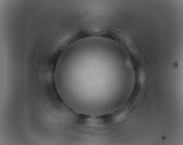 X0000093150515200709261448